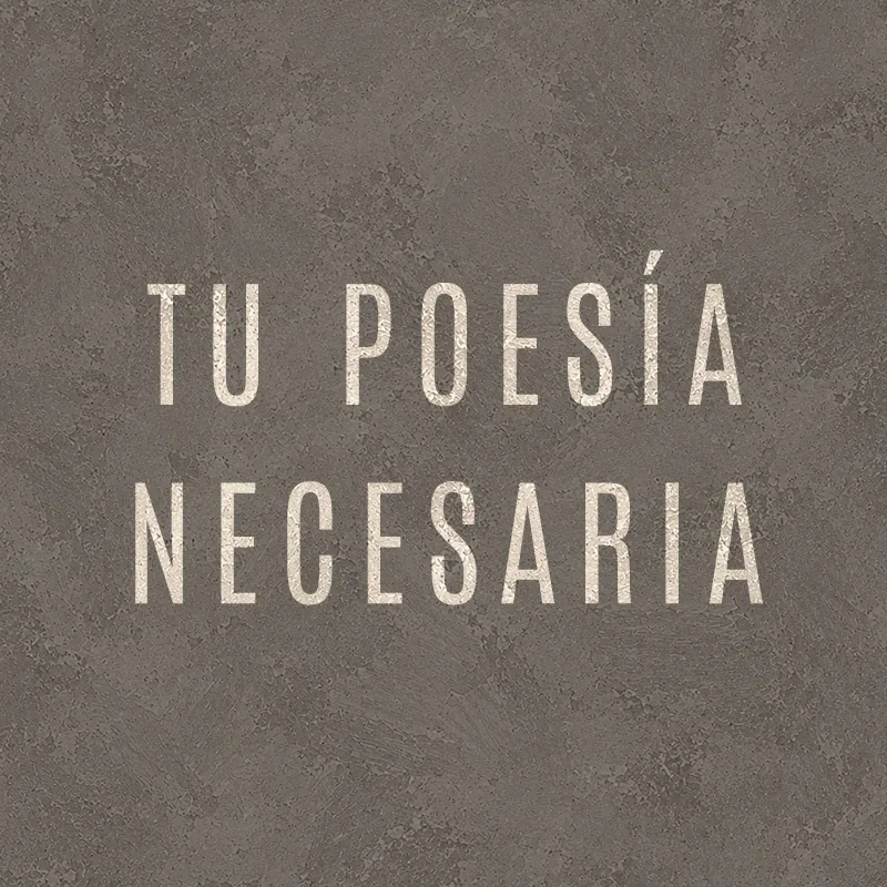 Imagen 5 del cubo de poesía